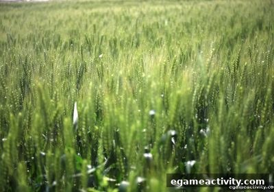 电子游艺厅娱乐活动宝典：轮盘首存红利与冷热号玩法全攻略