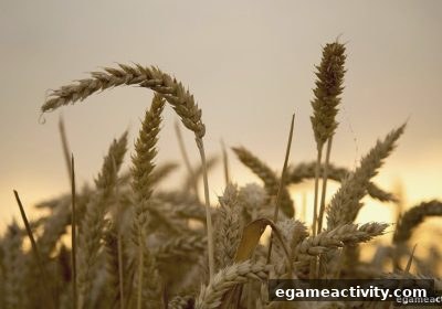 首存优惠与电子游艺厅娱乐活动：21点玩家的进阶策略手册